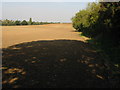 View along footpath towards Petham Court