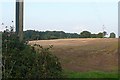 Farmland near Common Barn