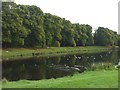 Lake at Callendar House