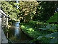 The Nant Llancarfan flowing toward the River Kenson at Llancarfan