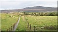 New fence, Tullochgribban