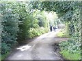 N8257 : Backroad near Trim, Co. Meath by JP