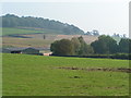 Fields near Cadeleigh