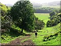 Climbing up the escarpment on to the North Downs