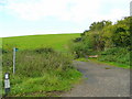 Bridleway to Ley Hill