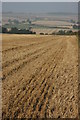 Stubble field near Chilson