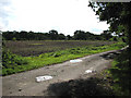 View across Gallowhill Lane