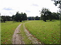 Track leading to the Frogham Lodge end at Fredville Park