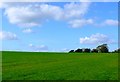 Countryside Near Melbury Osmund