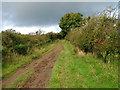 Track near Whitrigg