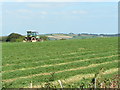 Hay making near Catlake