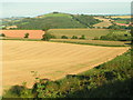 Fields near Bradley Farm, Raddon Hills in the background