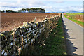 Stone wall lining field