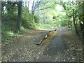 Roundwood Halt Platform