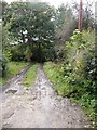 Muddy track at Beck Bottom