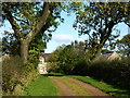 Road leading to Highfield Farm