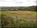 Field near Twyn-glas, Troed-yr-aur