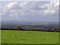 Pasture near Pen-gaer, Troed-yr-aur