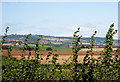 View to the east of St Weonards