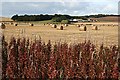 Fields near Auchinhove