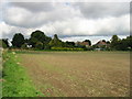 Houses on Holt Street from footpath