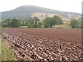 Newly ploughed field near Redpath