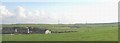 SH3383 : Ger yr Afon Farm by Eric Jones