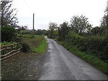 H2195 : Road at Calhame by Kenneth  Allen