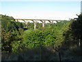 Viaduct over the South Calder Water