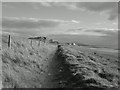 Cinder Path to Seascale