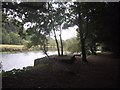 Riverside Walk above Totnes