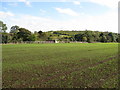 Field footpath  view towards Poulter Country Park