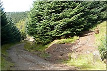 SO0401 : In Mynydd Gethin forest by Graham Horn