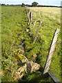 Leaning Fence Near Harelaw