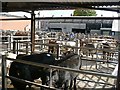 Cattle pens and auction shed, Newport Cattle Market