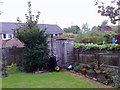 Garden Shed with Yew Tree