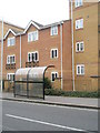 Bus shelter in The Grove