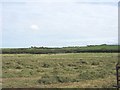 View ESE across a valley floor hay meadow