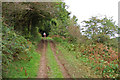 Bridleway near Shipham, Mendips