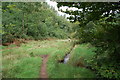 Path and stream in Rowberrow Bottom, Mendips