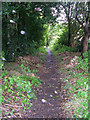 Footpath in the Rain! - Hawksworth Lane, Guiseley