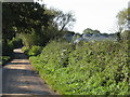 Naked polytunnels off Wickton Court Lane