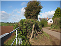 Road to Llangarron from Parkmill