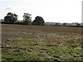 Field near Wickton Court