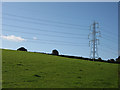 Pylon in a pasture