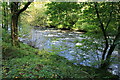 River Dart above Holne Bridge