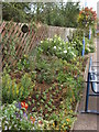 Flowerbeds at Sudbury station