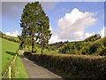 Nant Cloigen, Llandysul