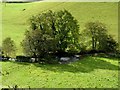 Afon Cerdin near Fforest Cerdin, Llandysul