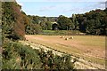 River Deveron at Meaggie